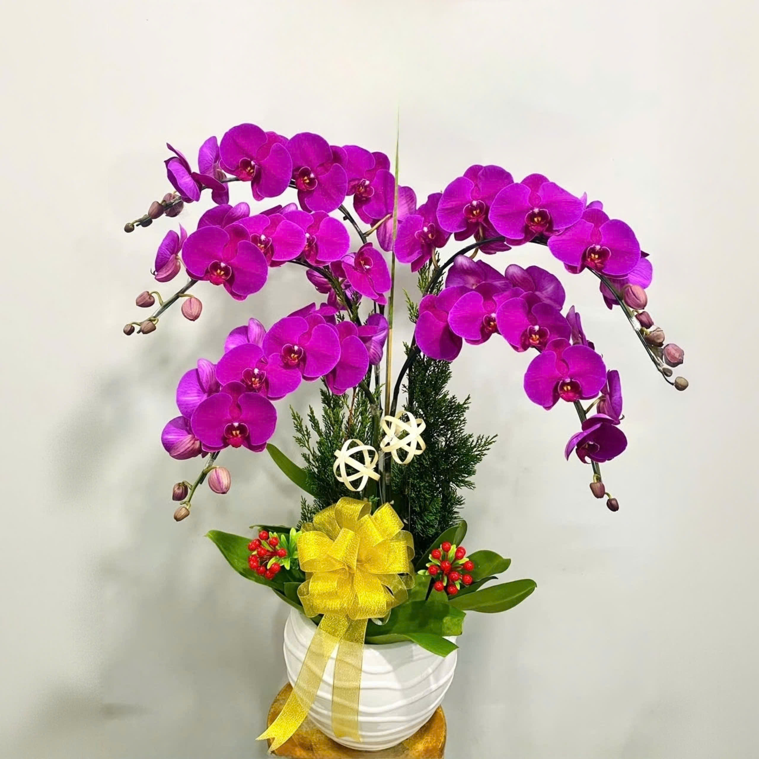 Lan hồ điệp màu tím 5 cành - HD126